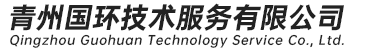 青州国环技术服务有限公司